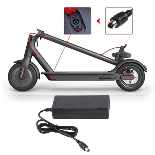 42v electric scooter - 2a,